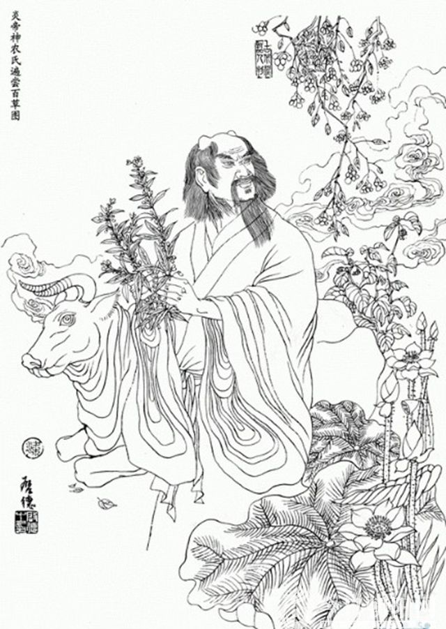 四,神农百草——云蒙山远古文化探秘(之四)