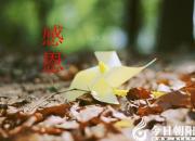 【今日朝阳网】师恩难忘，师情永存