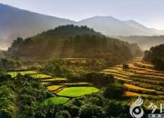 奇山伟岳称雄峻——湖北随州大洪山（陈玉民）