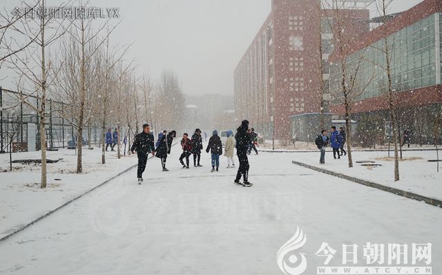 停课不停学 听好每堂课(唐士超)