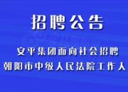 正在找工作？朝阳这里需要你！