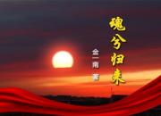 《魂兮归来》016（金一南）