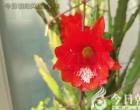 拯 救（杨昕芮）