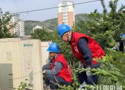 凤山凌水间的供电情深——国网朝阳双塔区供电分公司凌东服务站倾情服务客户侧记